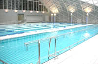 Ceramic-tiled Stainless Steel Pool